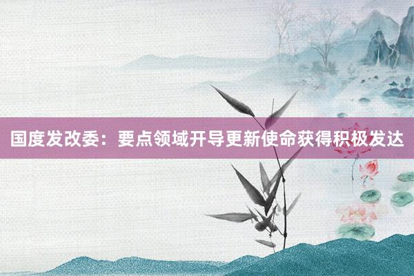 国度发改委：要点领域开导更新使命获得积极发达